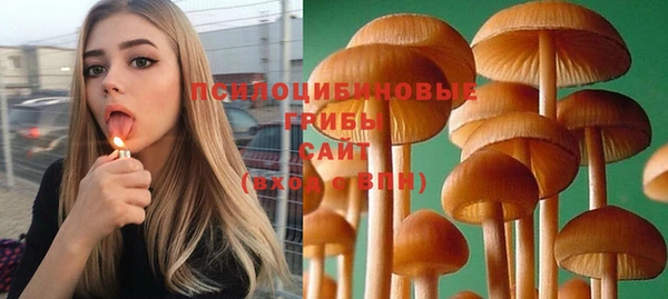 герыч Грязовец